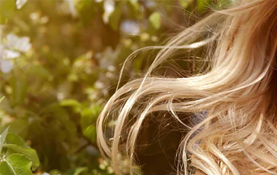 Field Guide: How Porosity Affects Your Hair Color