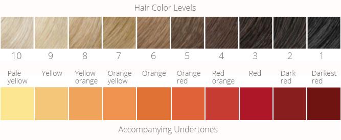 Hair Color Levels and Undertones