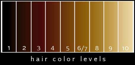 Hair Color Levels