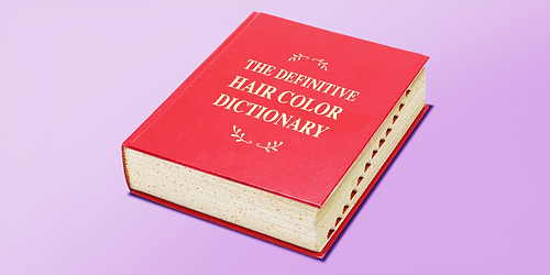 hair color dictionary