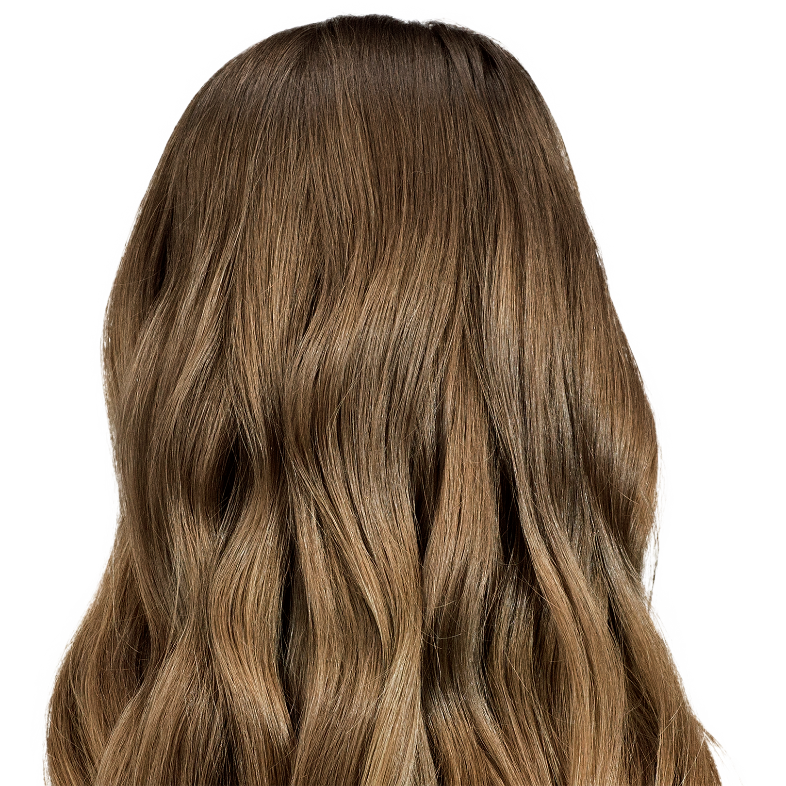 7.5NNA Umbria Light Brown permanent hair color shown on the back of the head