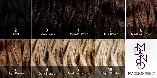 What color is my hair? What level is my hair?