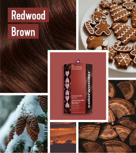 better off bronze winter hair color colorwonder demi