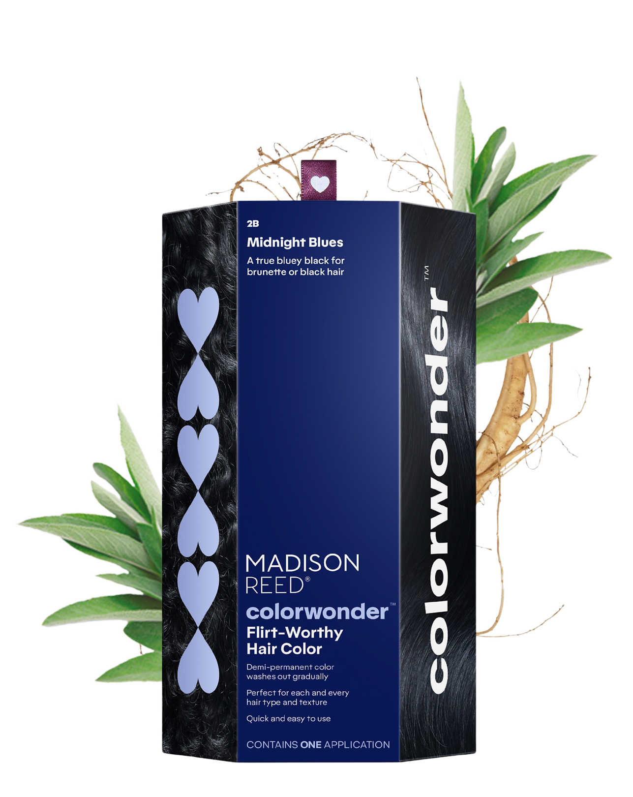 colorwonder-midnight-blue