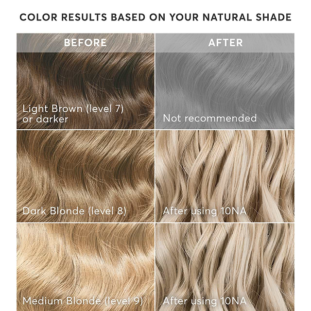 10NA Shade Chart with Results based on your natural shade