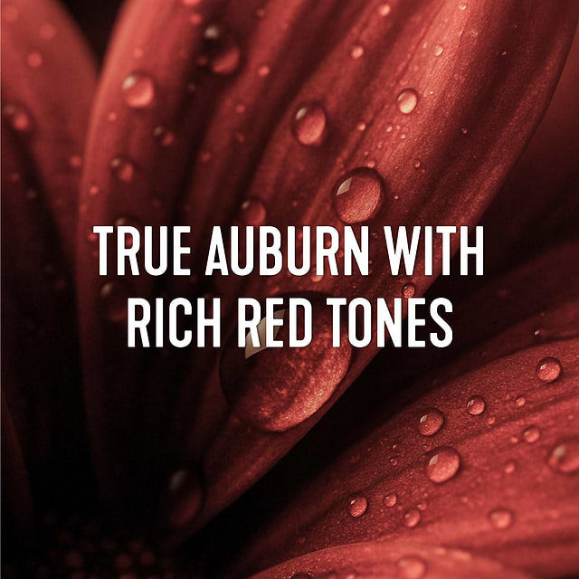 Medium Auburn Red Hair Dye Kit | Portofino Red 6NRR | Madison Reed