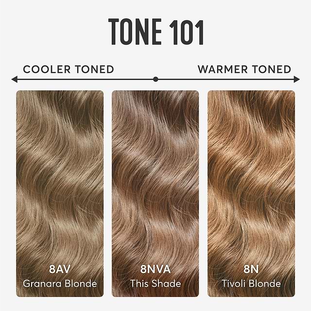 Color Bolonge Dark Beige Blonde Hair Dye Kit | Bologna Blonde 8NVA | Madison Reed