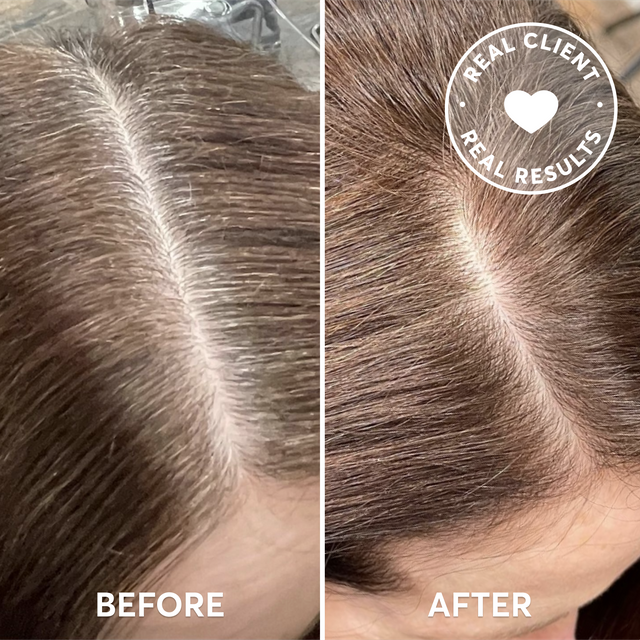 Medium Golden Brown Root Touch Up Kit | Dervio 6G | Madison Reed