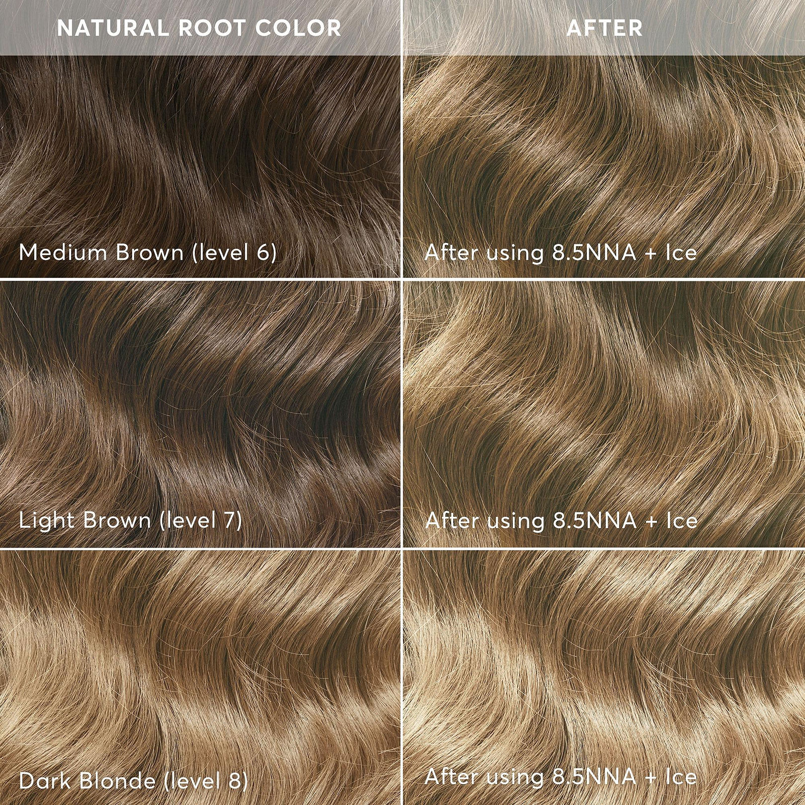 Dark Icy Blonde Hair Dye Kit | Lusia Ice Blonde 8.5NNA-ICE