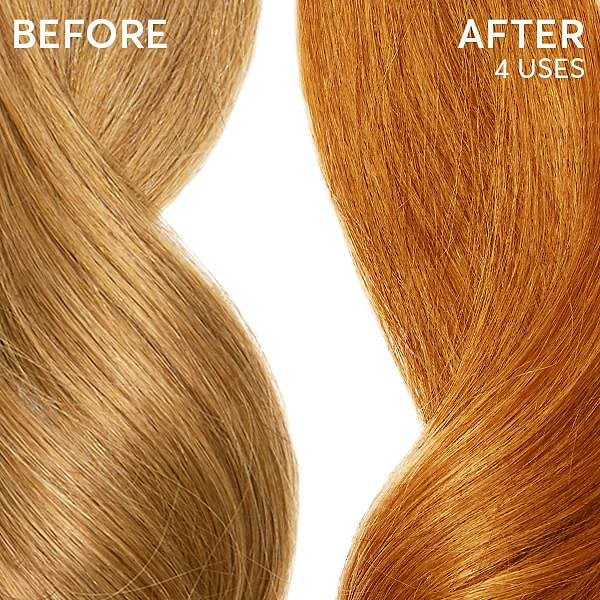 ZUCCA-Blonde