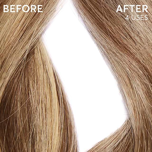 PERLA-Highlighted