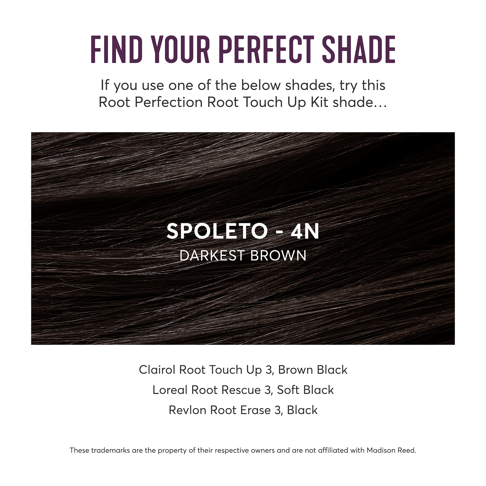 Darkest Brown Root Touch Up Kit | Spoleto 4N | Madison Reed