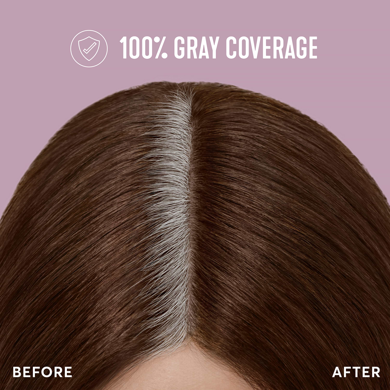 Medium Golden Brown Root Touch Up Kit | Dervio 6G | Madison Reed
