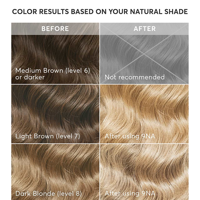 Pisa Blonde-9NA-RCC Shade Chart