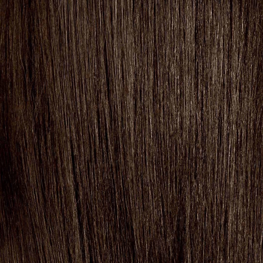 ぶらうん 完成品]1/32スケール 海軍 局地戦闘機『紫電改』(『紫電』21型) 第