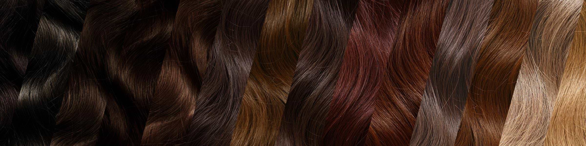 50+ Shades Swatches