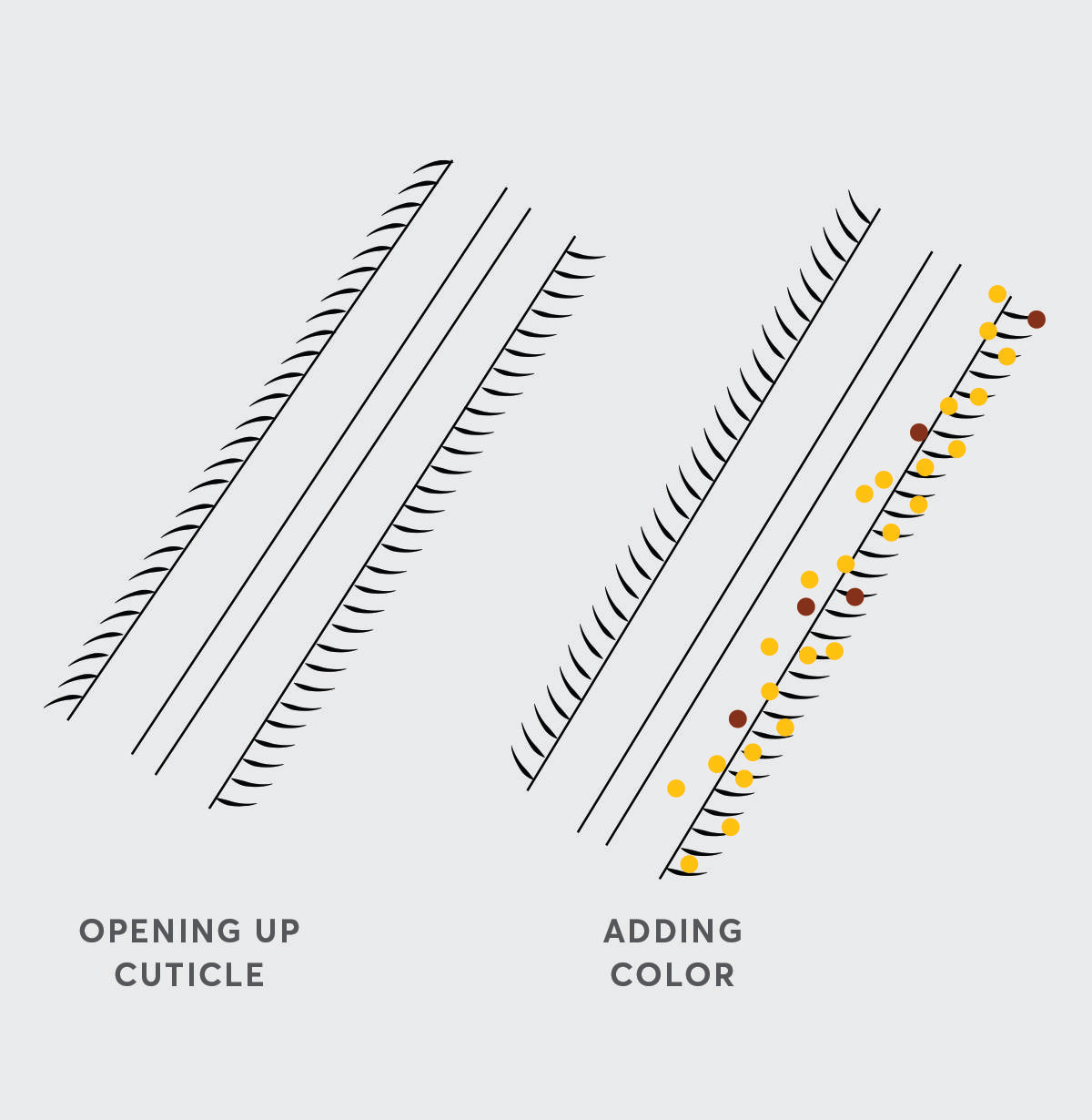 How Permanent Color Works