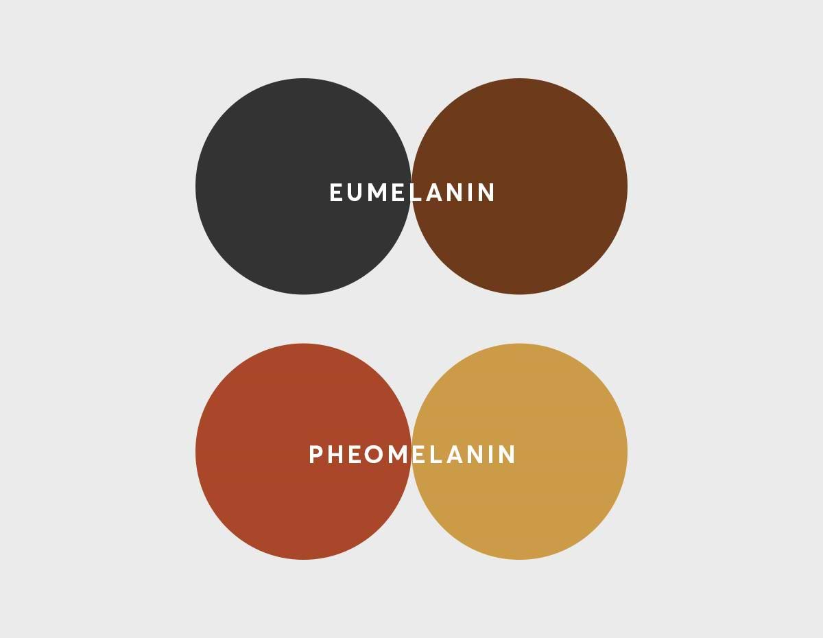 Natural Hair Color Pigments