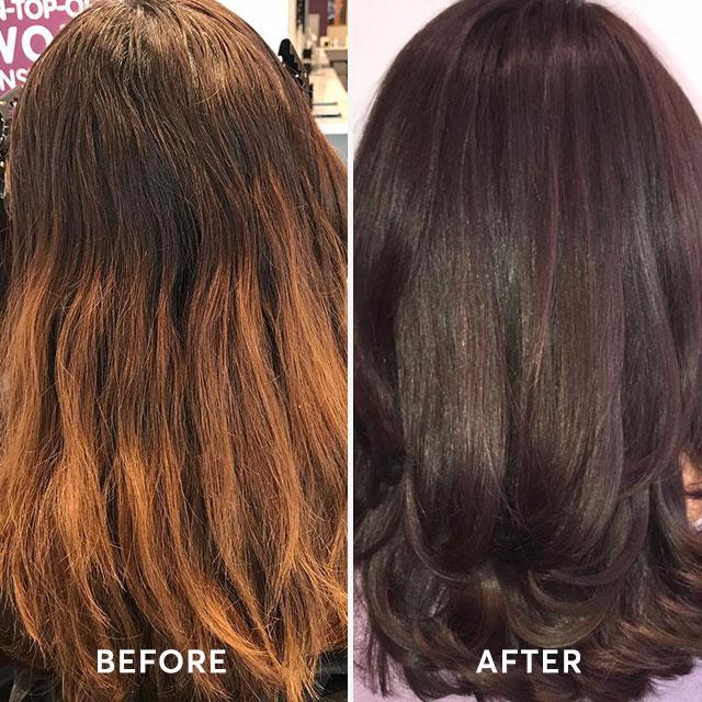 modena brown 5nnn haircut