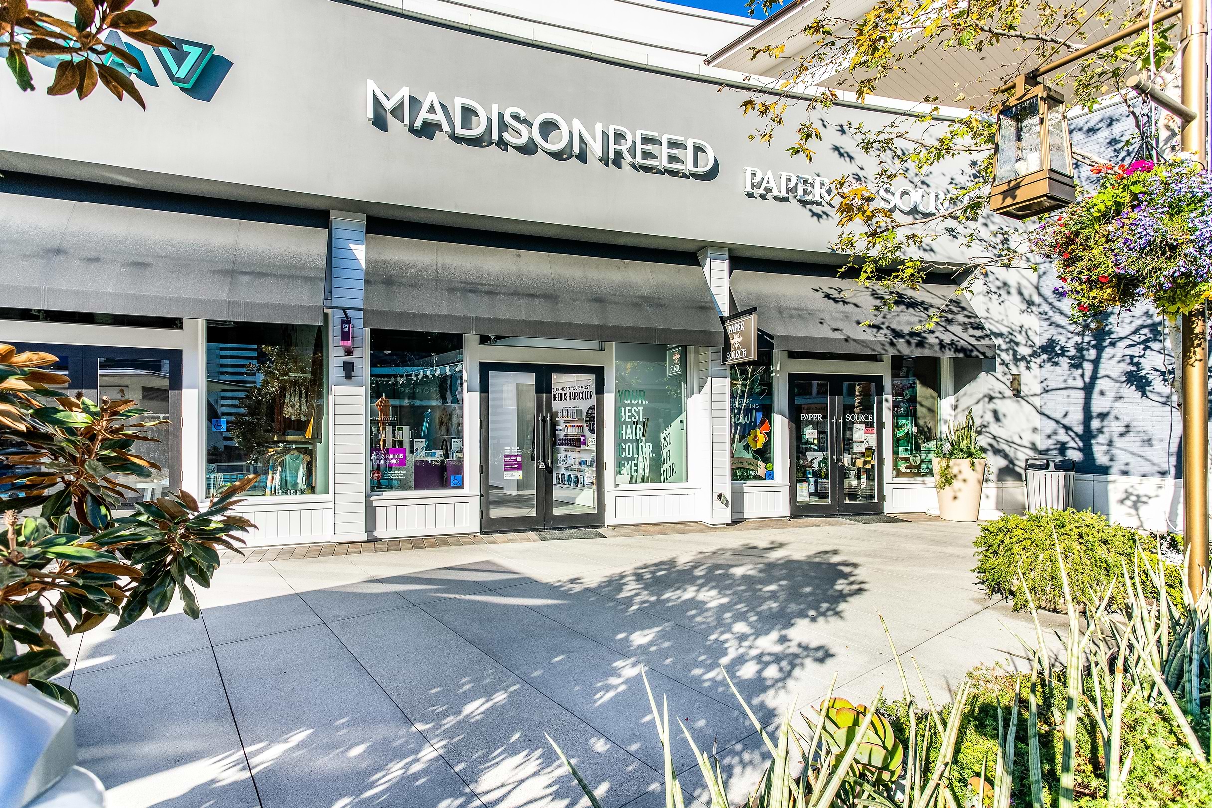 Madison Reed Long Beach