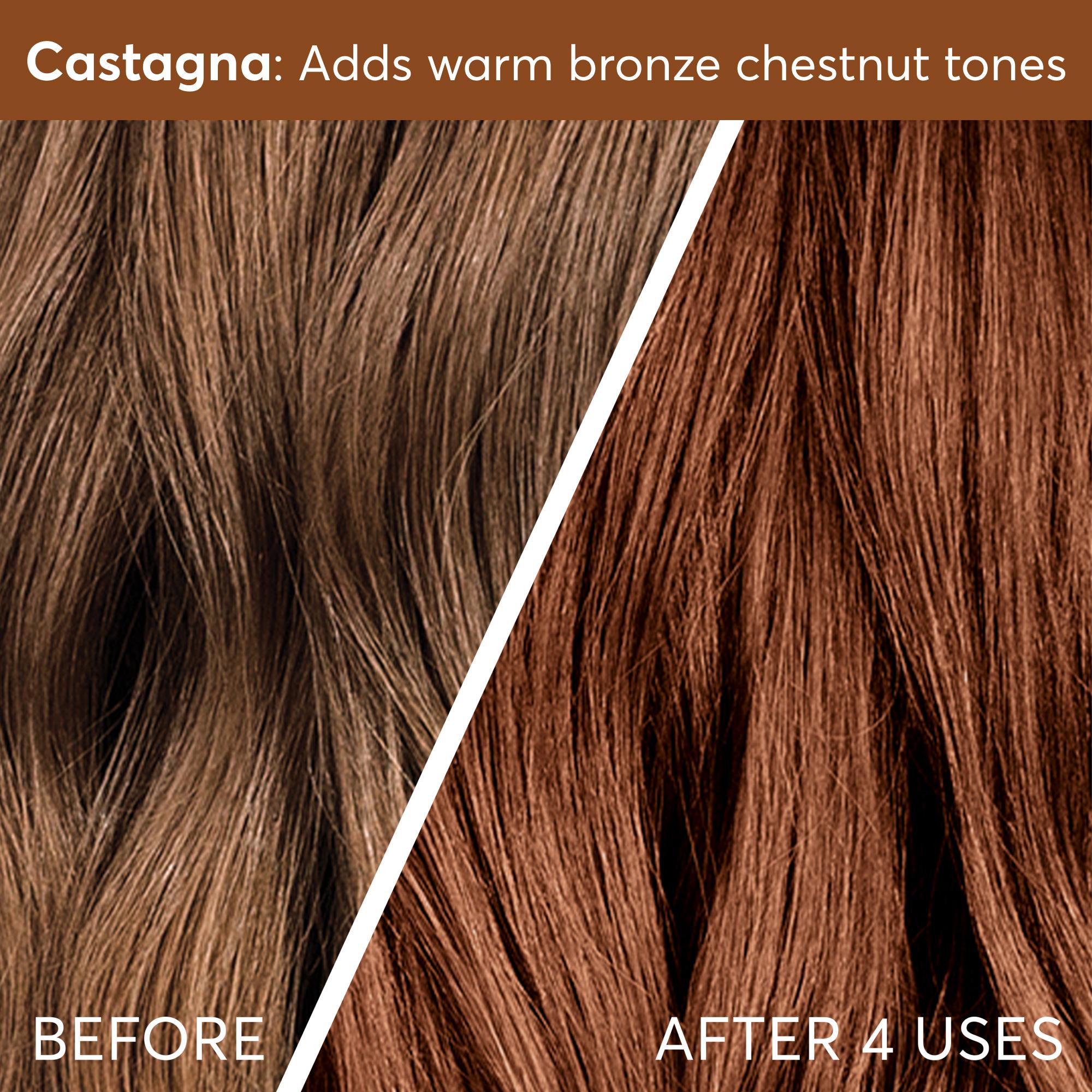 Castagna adds warm bronze chestnut tones