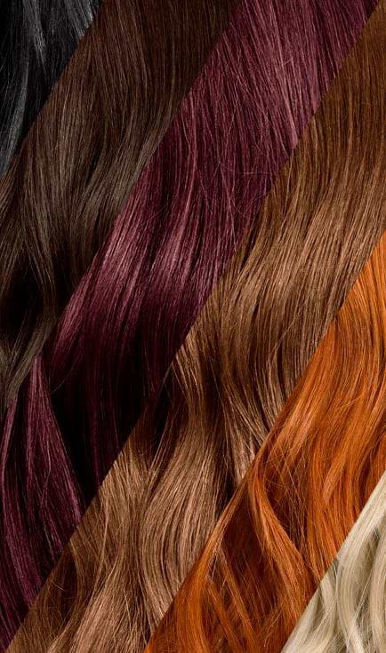 Hair Tone Swatches